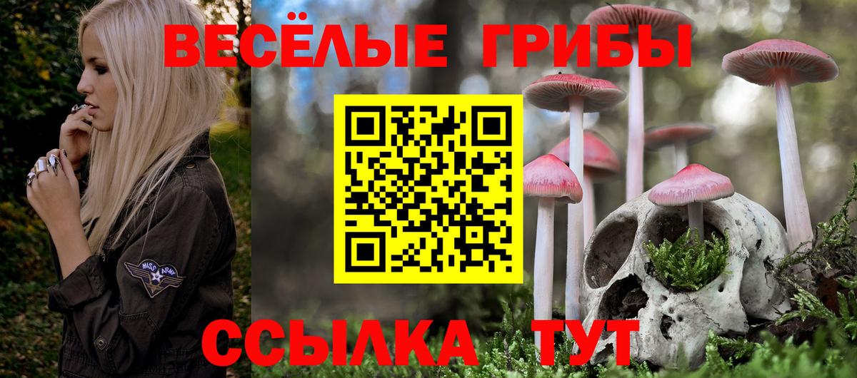 Мелеуз  Псилоцибиновые грибы MAGIC MUSHROOMS  где можно купить   Галлюциногенные грибы мухоморы  Вход с VPN 